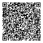 QR код "33 пингвина"