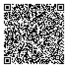 QR код "Созвездие"