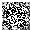 QR код "Профи"