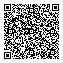 QR код "Дэлфи"