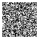 QR код "Picasso"