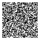 QR код "Домино"