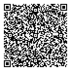 QR код "Аэлита"