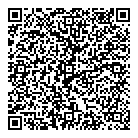 QR код "Андромеда"