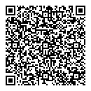 QR код "Денди"