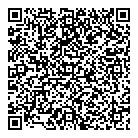 QR код "Звездный"