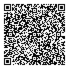 QR код "Копейка"
