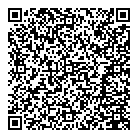 QR код "Профессионал"