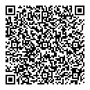 QR код "Шайба"
