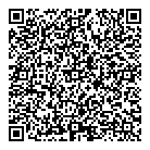 QR код "Домино"