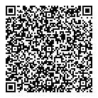 QR код "SkyLink"