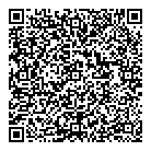 QR код "Профессионал"