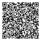 QR код "Мир-Видео"