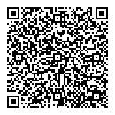 QR код "City Style"