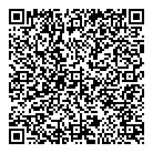 QR код "Тесла"