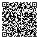 QR код "Матрица"