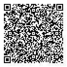 QR код "Мир игрушек"