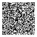 QR код "Колизей"