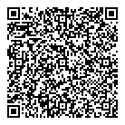 QR код "Мир"