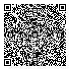 QR код "Шайба"