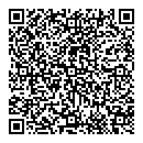 QR код "Adidas Neo"