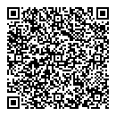 QR код "01"