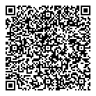 QR код "Глобус"