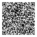 QR код "Дельфин"