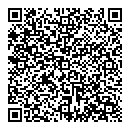QR код "Лион"