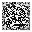 QR код "Рыжий кот"