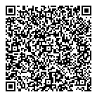 QR код "Мыльный мир"