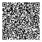 QR код "Галактика"