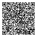 QR код "Шторм"