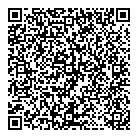 QR код "Disco"