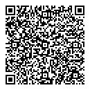 QR код "Ромашка"