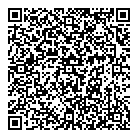QR код "Профессионал"