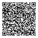 QR код "Алсу"