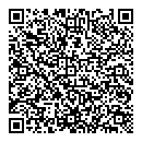 QR код "Глобус"