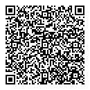 QR код "Детройт"