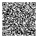 QR код "Лион"