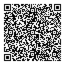 QR код "Toyota"