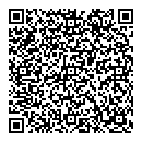 QR код "Skyline"