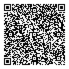 QR код "DNS"