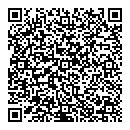 QR код "Lion"