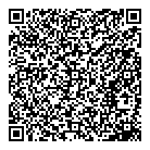 QR код "Ариэль"