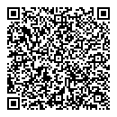 QR код "Вулкан"