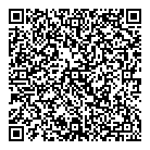 QR код "Вулкан"
