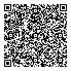 QR код "Близнецы"