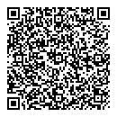 QR код "Finn Flare"