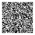 QR код "Звездный"